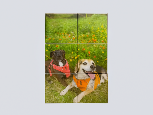Custom Photo Puzzle Magnet Sets