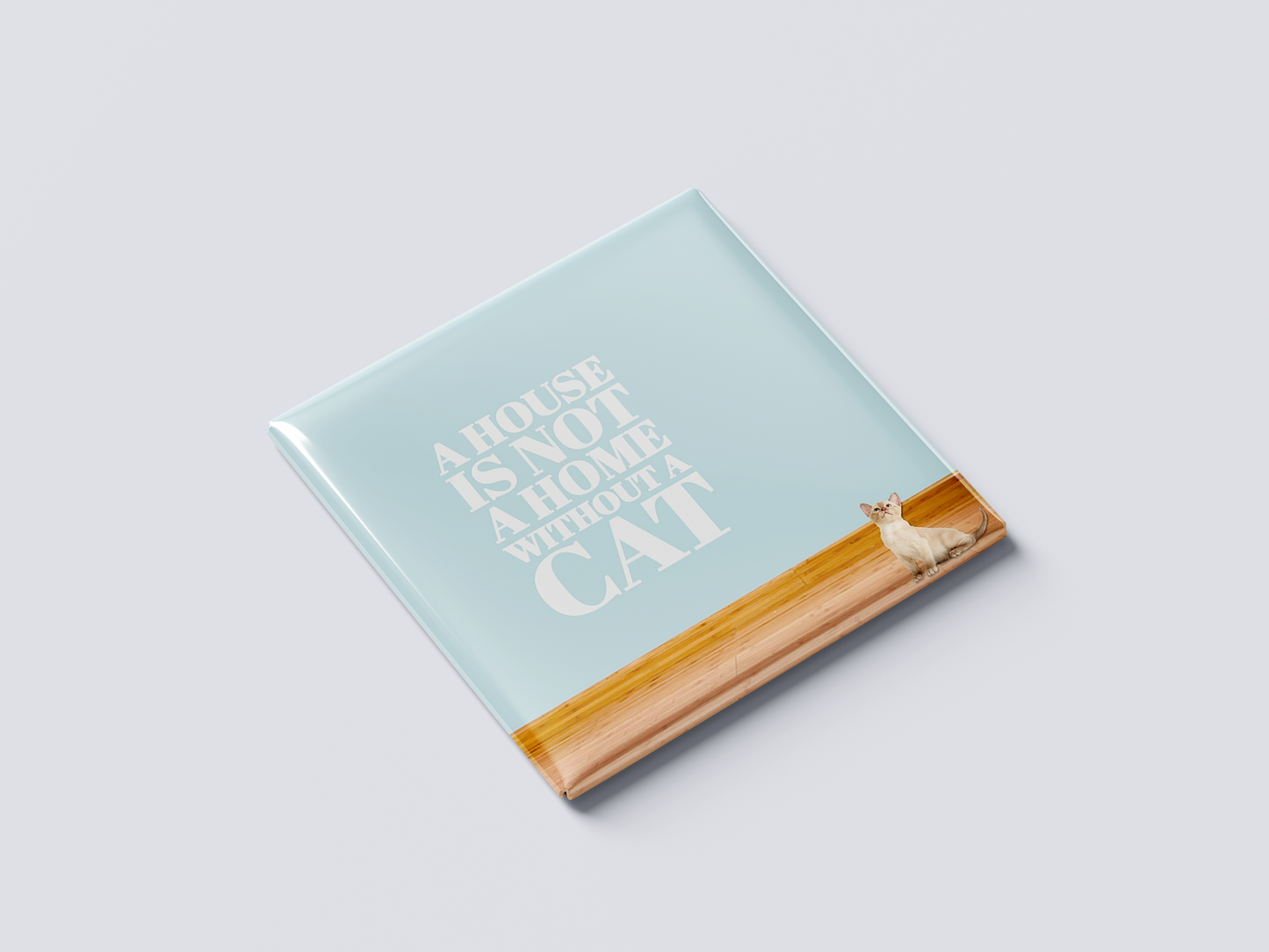 A House is Not a Home Without a Cat