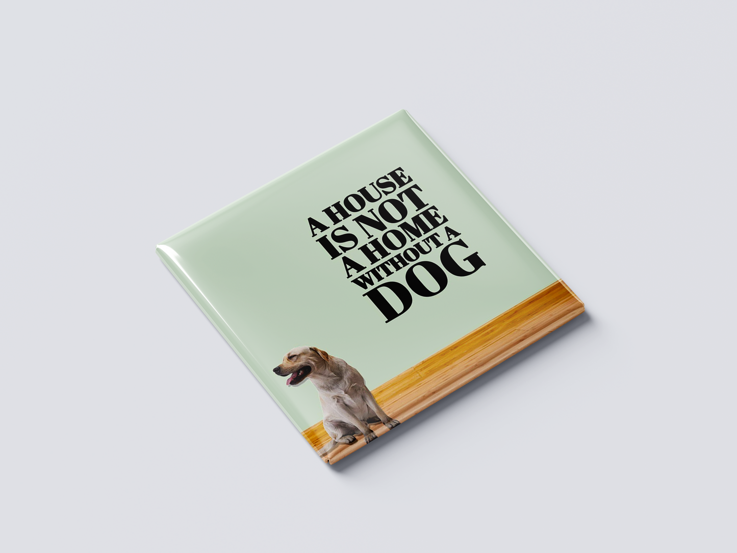 A House is Not a Home Without a Dog