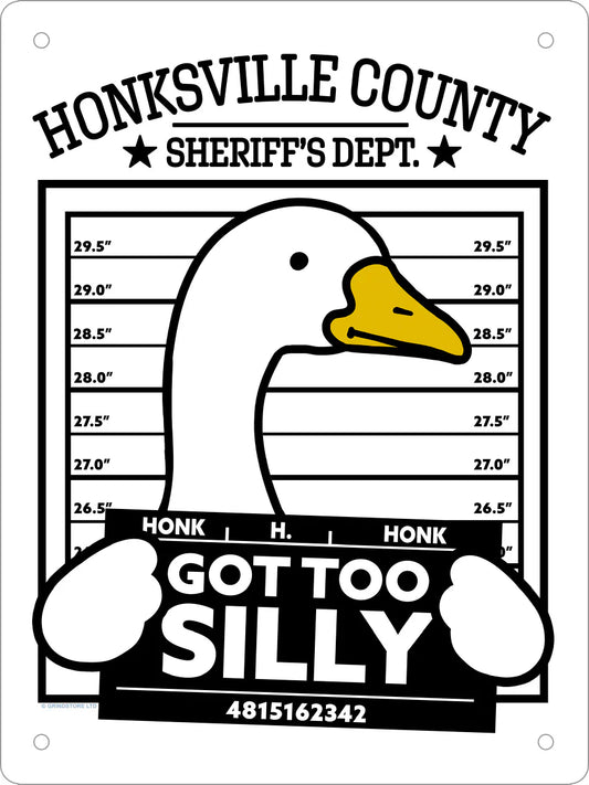 Got Too Silly- Honksville County Jail